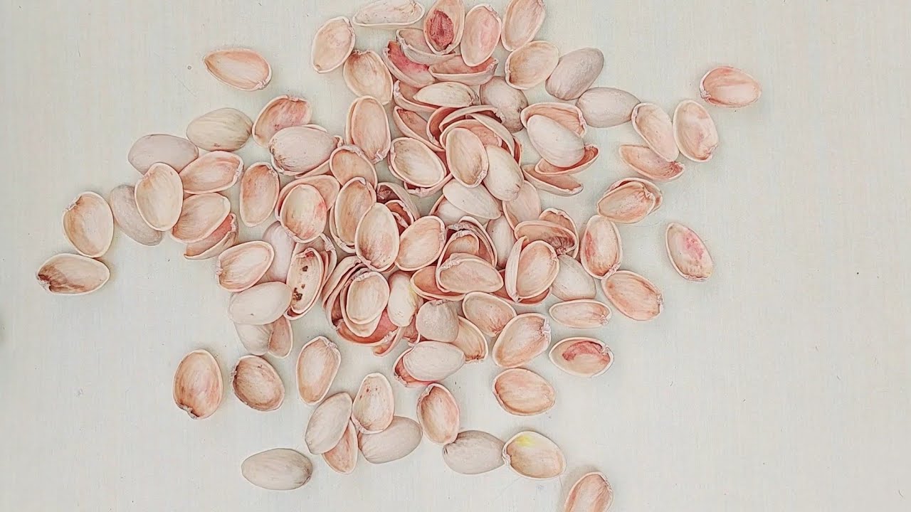 Pista Shell Craft | Pista Shell Wall Hanging #wallhanging #walldecor #flowers #video #youtubevideo