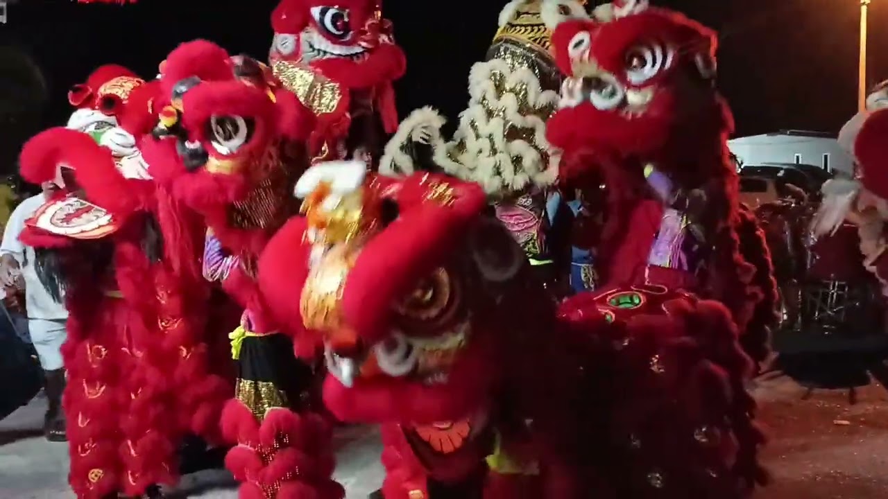 Banyak nya singa tengah menari/tarian singa