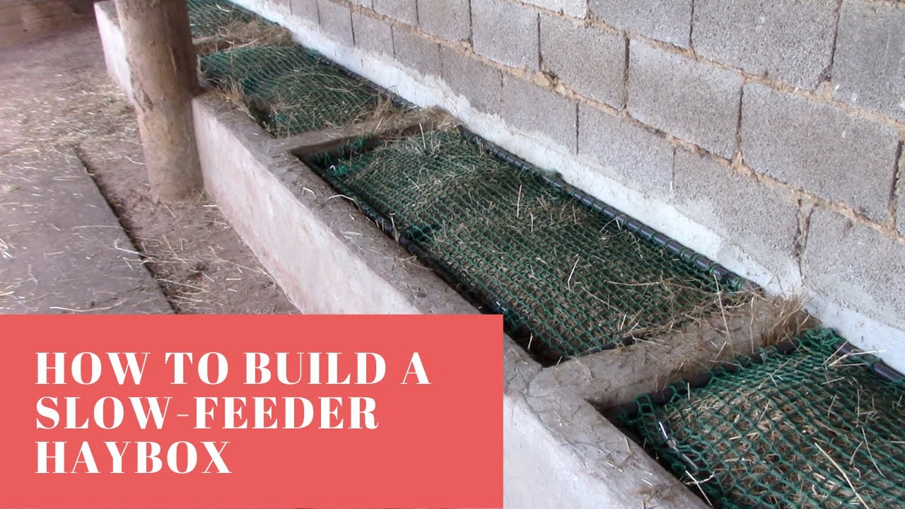 How to build a slow-feeder haybox for your horse