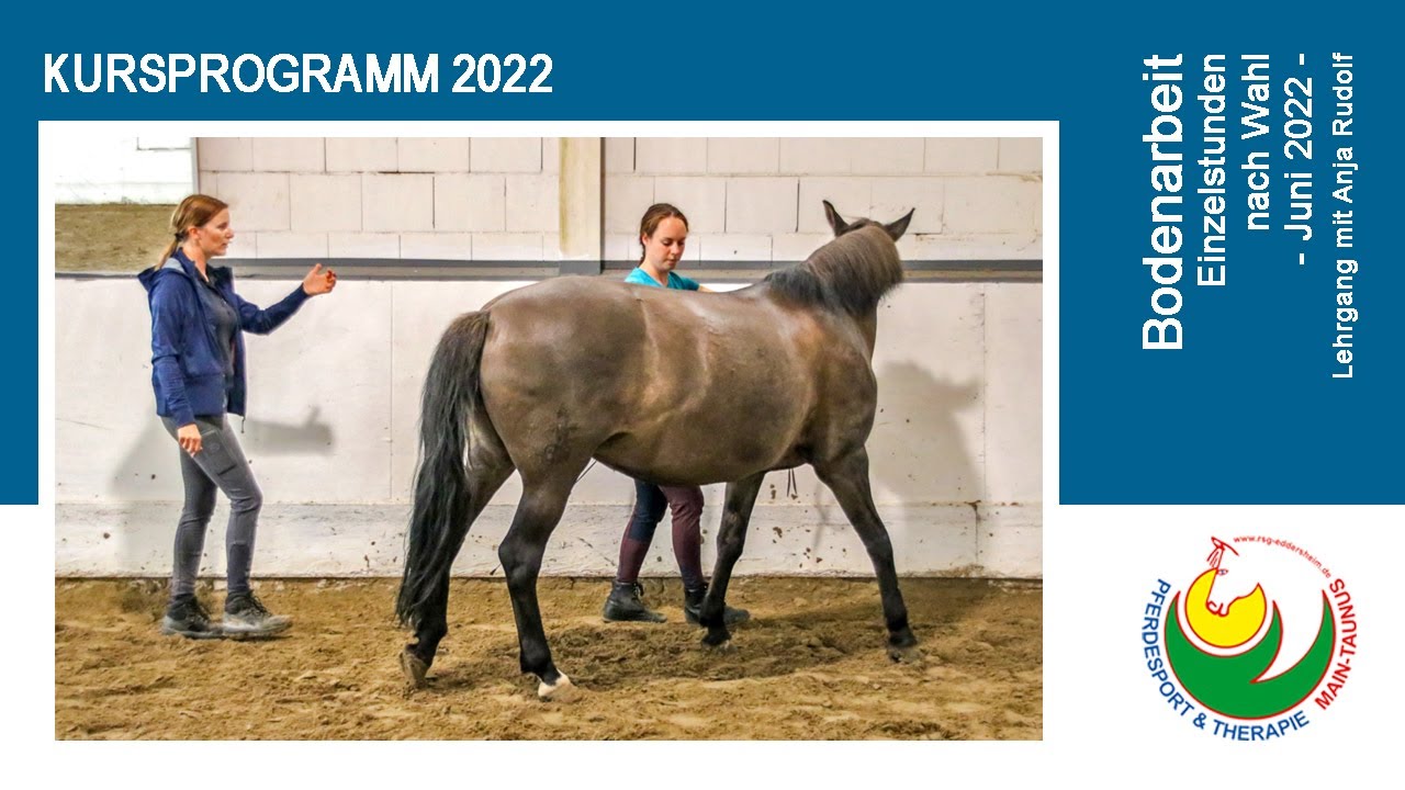 Reiten lernen: 