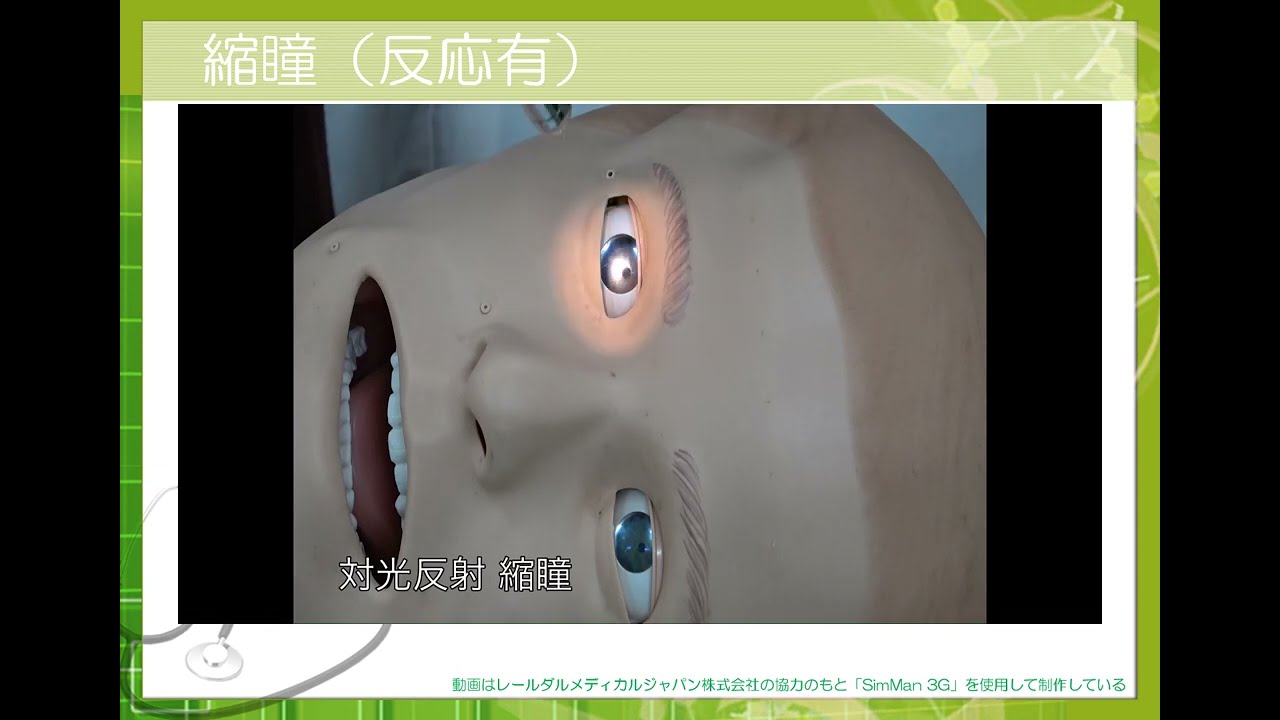 その他編1（全2回）　瞳孔反射