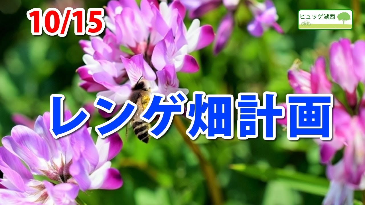 レンゲ畑計画