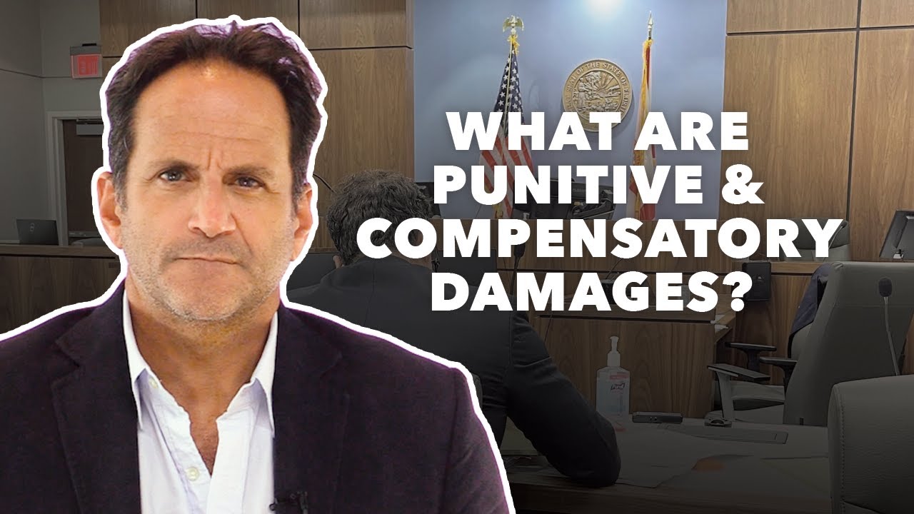 What are Punitive and Compensatory Damages?