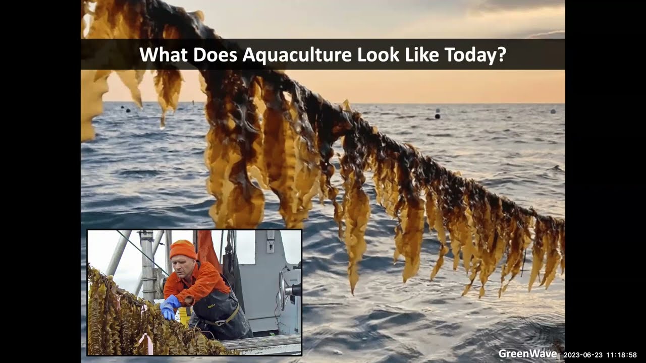 Aquaculture in Florida Webinar_June 23, 2023