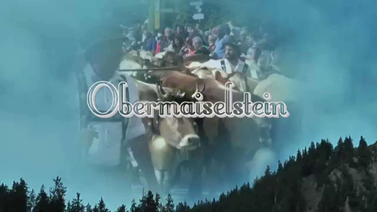Viehscheid Obermaiselstein Allgäu 2015