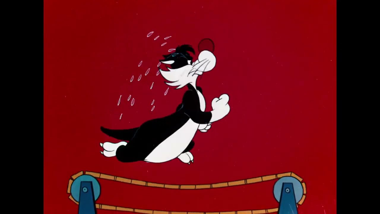 Hippety Hopper , Sylvester - name of episode 