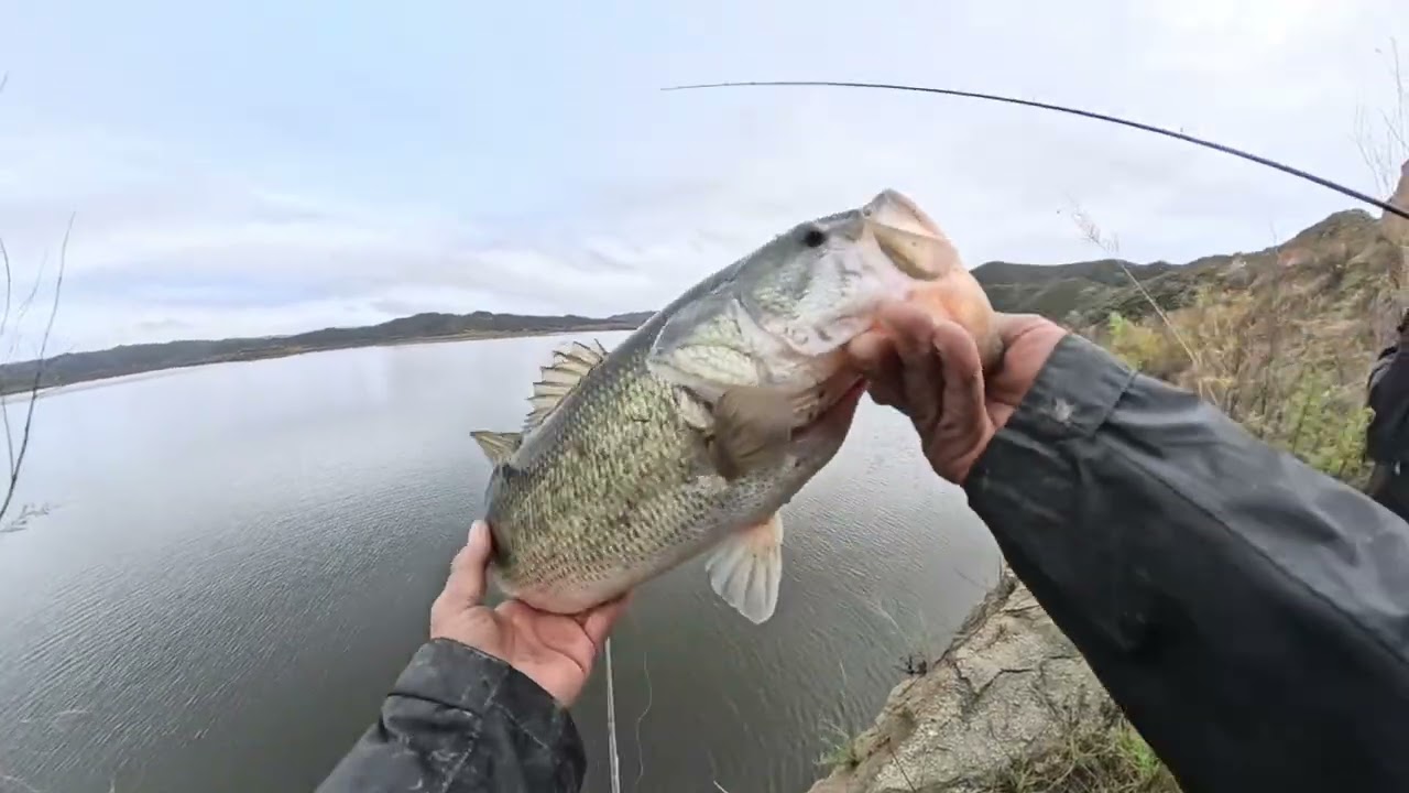 HYPHEMA almost healed. First day back fishing SoCal 