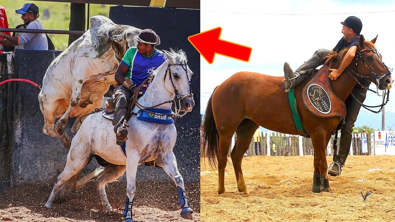OS DESMANTELOS QUE SÓ ACONTECEM NA VAQUEJADA