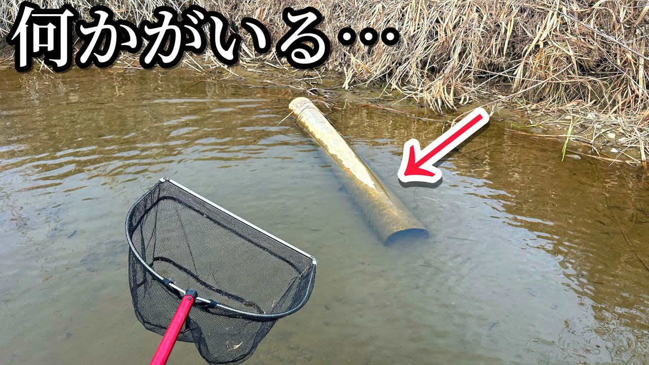 川に放置された巨大パイプの中身を出してみると…