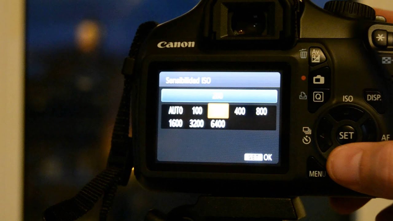 Comparativa camaras reflex NIKON D3100 vs CANON EOS 1100D