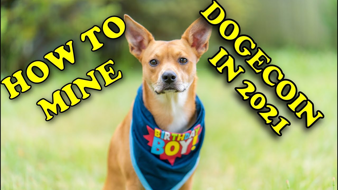 HOW TO MINE DOGECOIN IN 2021