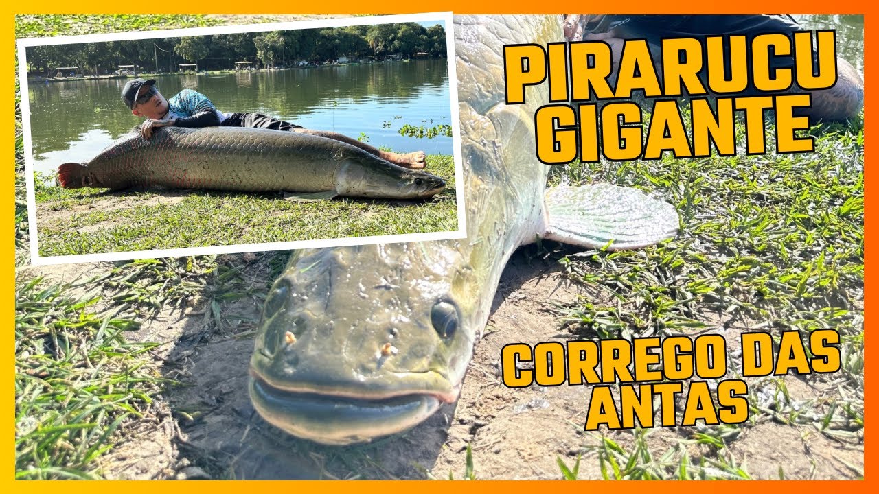 O MAIOR PEIXE DA MINHA VIDA / DUZZ TRINTOU NO TAMBAQUI / PESCARIA MUITO DIFÍCIL /