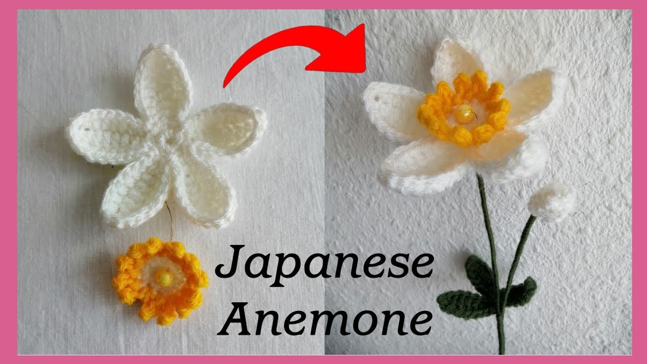 Part 1: Japanese Anemone flowers (petals & pollen)