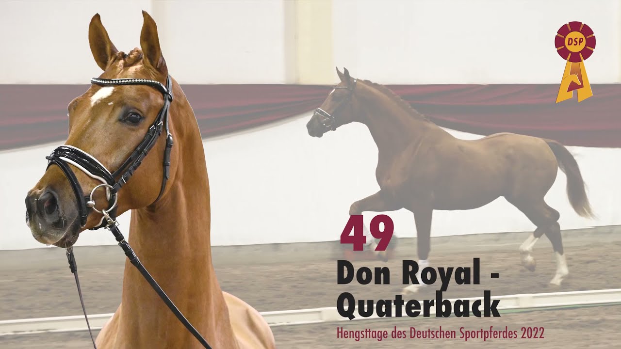 Lot 49: Hengst v. Don Royal/Quaterback