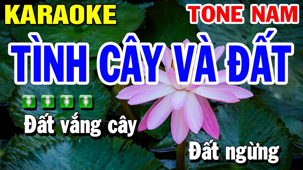 Karaoke Tình Cây Và Đất Tone Nam Nhạc Sống - Beat Hay Dễ Hát | Beat Huỳnh Lê