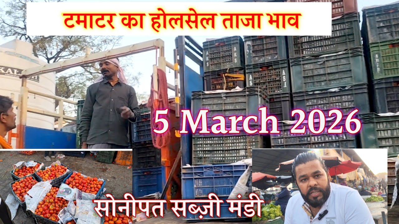 tamatar ka holsale taaja bhav Sonipat sabji mandi 5 March | today tamatar rates in Sonipat Mandi