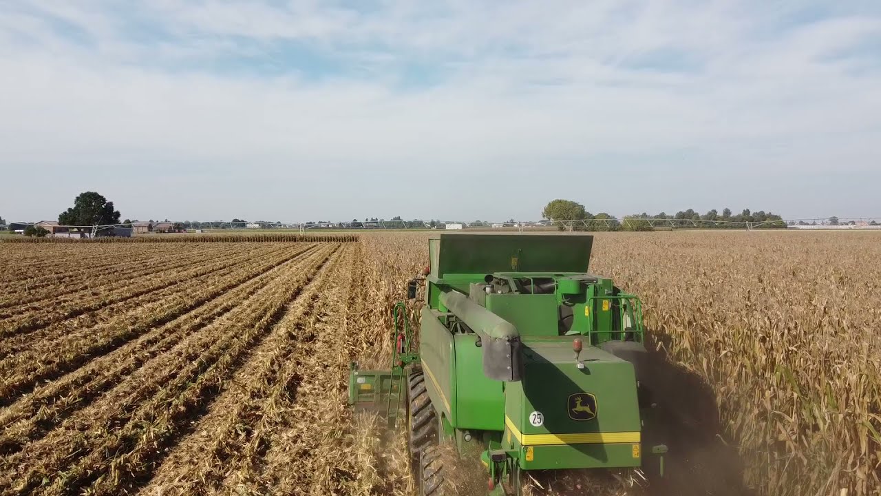 Trebbiatura mais 2021 - DKC 6808