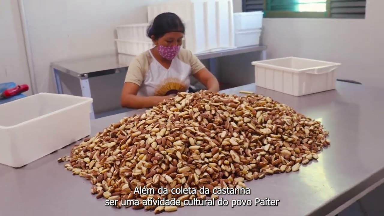 A castanha e o café da Coopaiter - Povos indígenas e sociobiodiversidade
