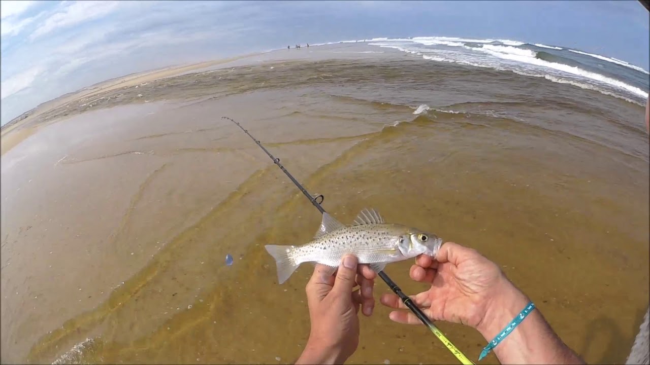Pêche dans les baïnes de Moliets