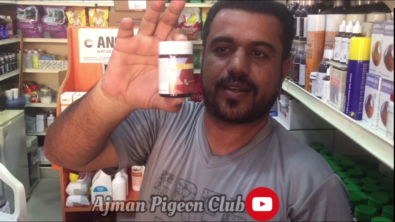 Pigeon Medicines |Treatment|Information کبوتر کی دوائیں علاج سے متعلق اطلاعیں