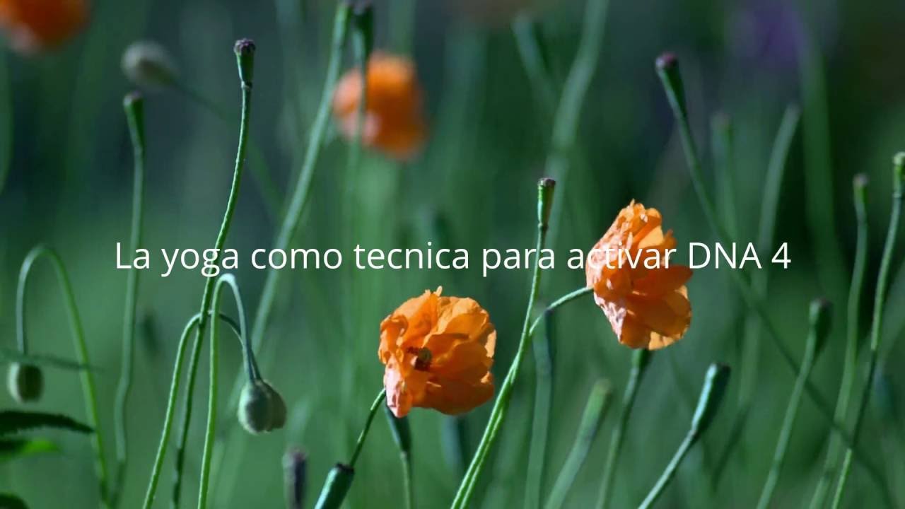 LA YOGA TECNICA PARA ACTIVAR EL ADN 4