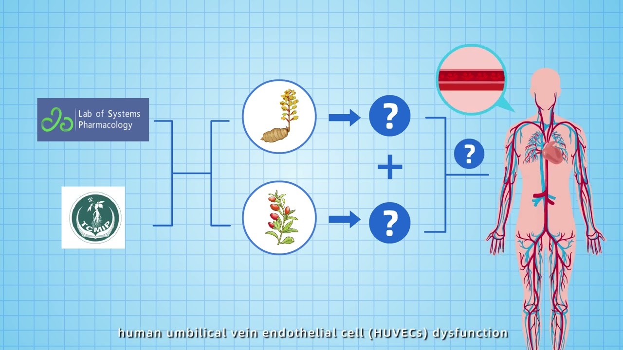 Gastrodin and Gallic Acid Attenuate Apoptosis and Inflammation &ndash; Video abstract [477554]