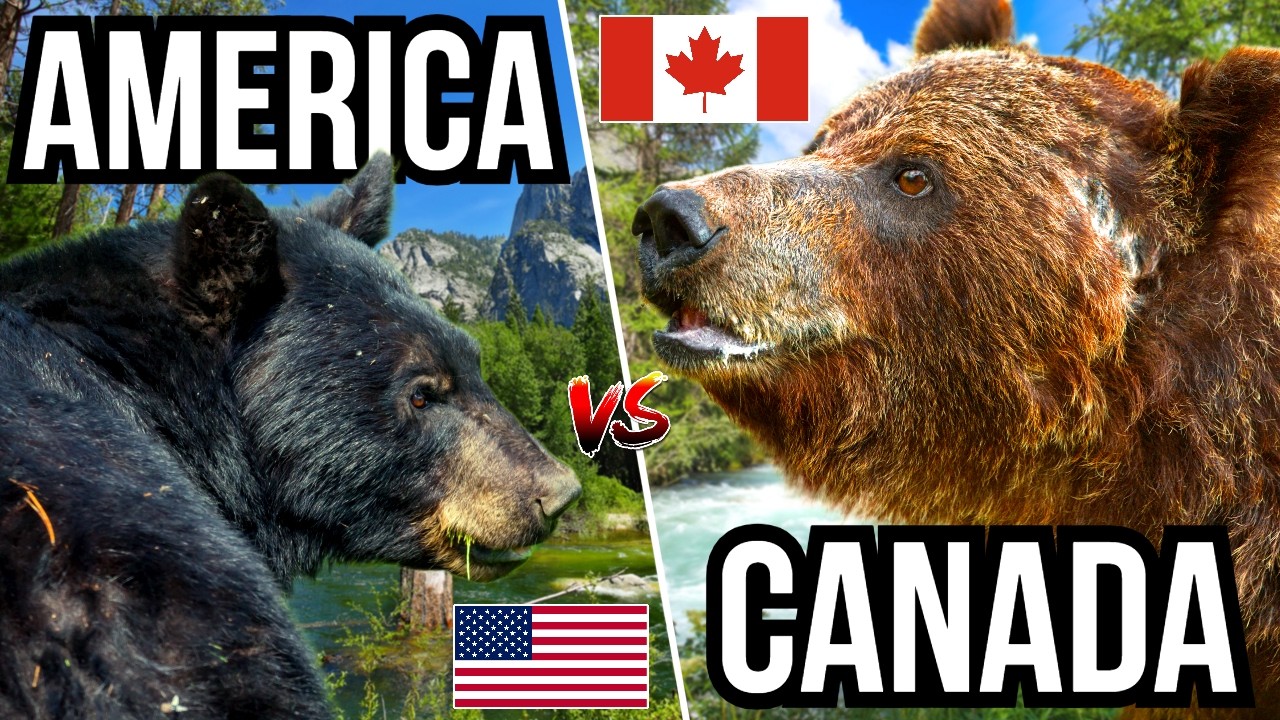 Ranking 9 American States And Canadian Provinces By How Likely You Are To Be Eliminated By A Bear
