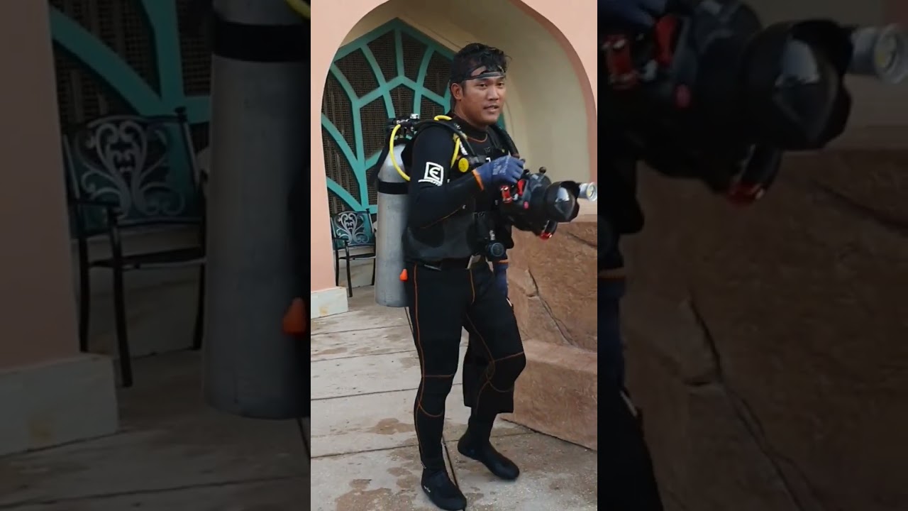 #scubadiving #atlantisthepalm #atlantis #dubai #uae #shortvideo #shorts #short #shortsyoutube