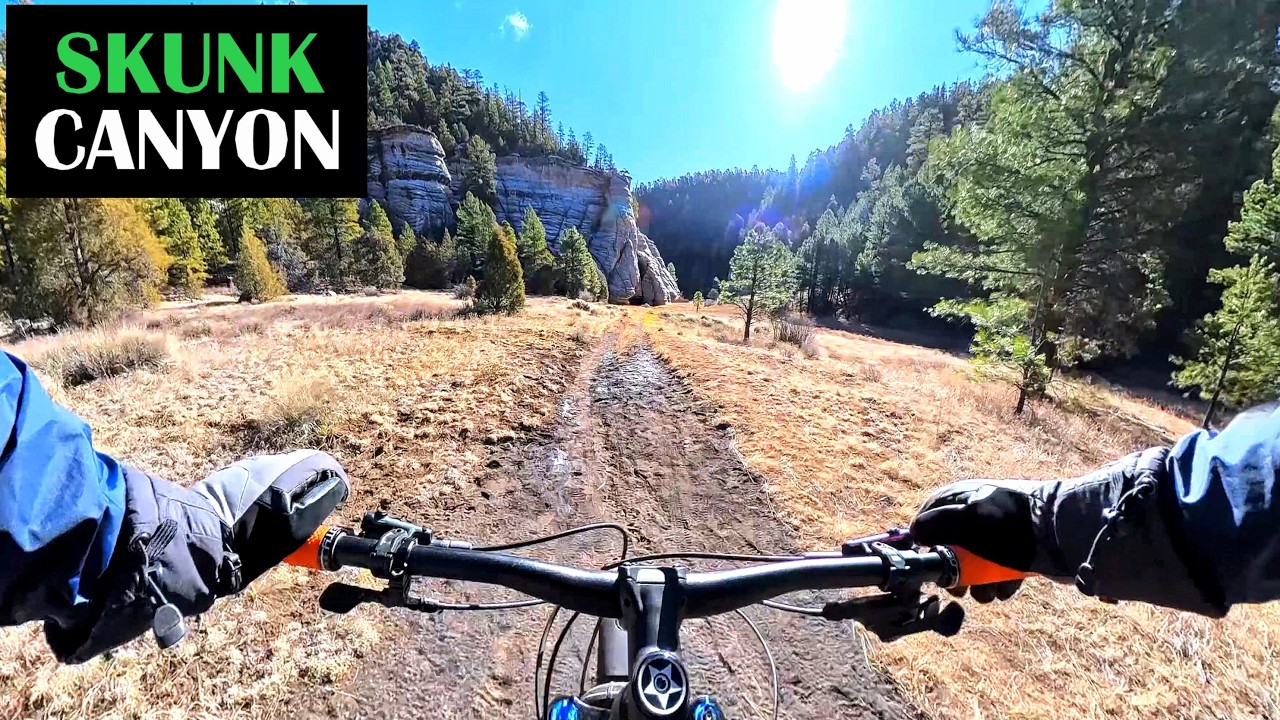 Smells Like Skunk... Canyon | Flagstaff Loop, FUTS, AZT | Mountain Biking Flagstaff Arizona