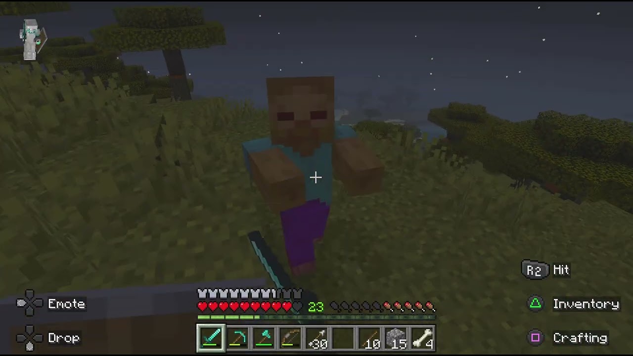 Minecraft Survivor Survival World! 15