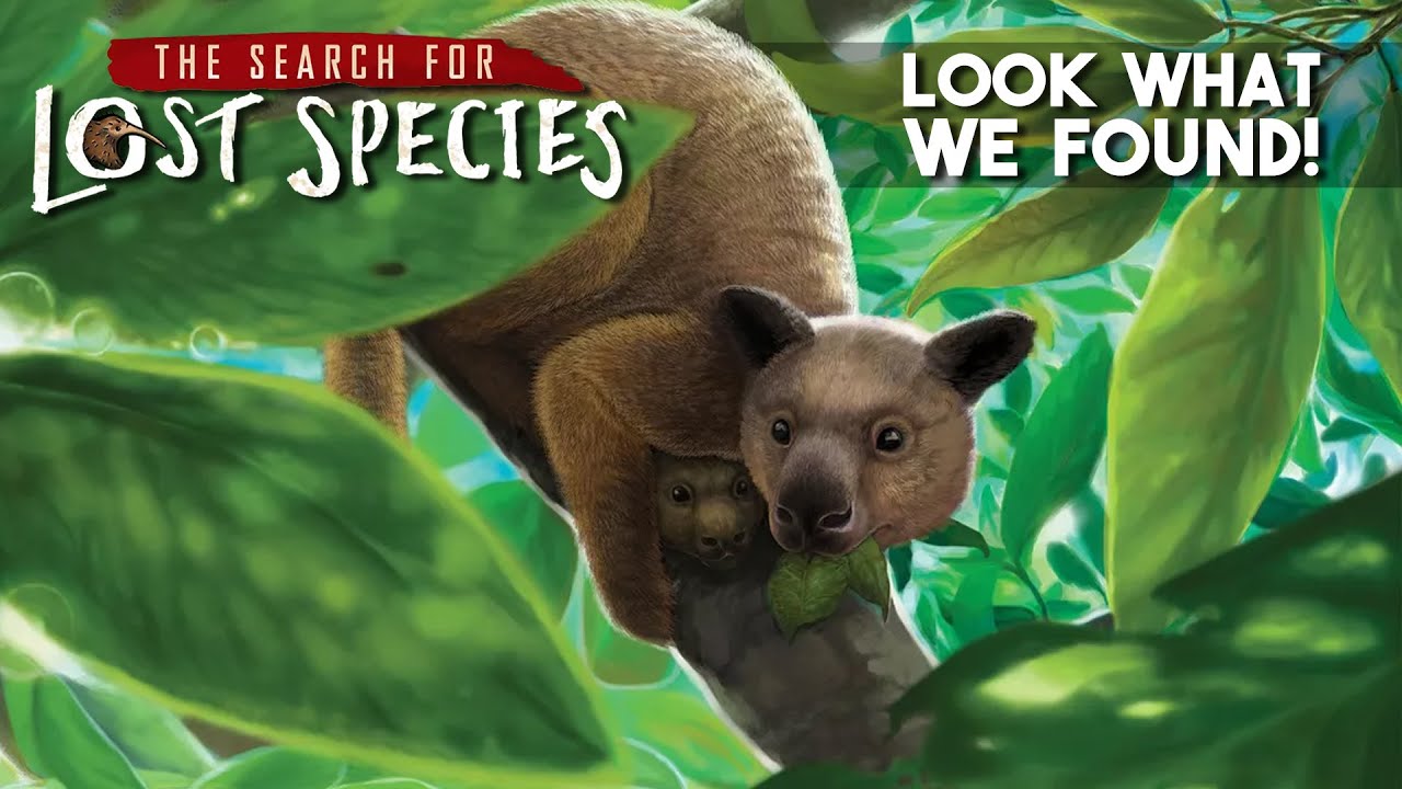 The Search for Lost Species: We Found THE Next Deduction Game!