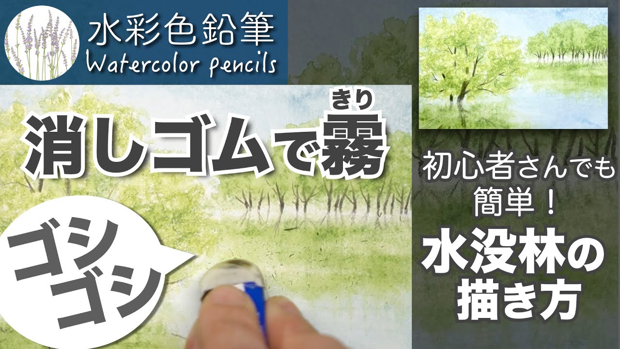 【水彩色鉛筆】水没林の描き方〜初心者向け〜 | Submerged forest painting tutorial for beginners | Watercolor pencils