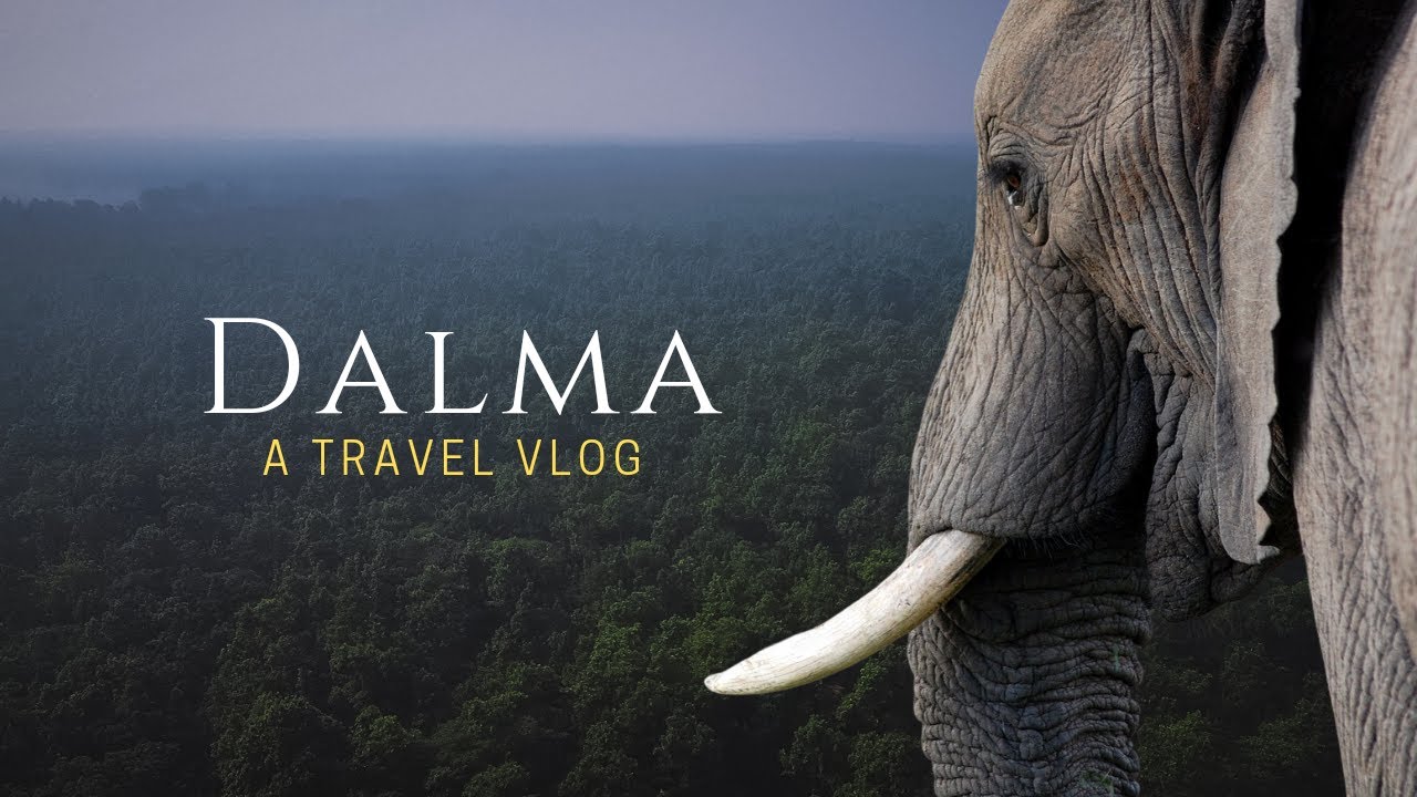 Dalma Wildlife Sanctuary | डालमा हिल I JHARKHAND