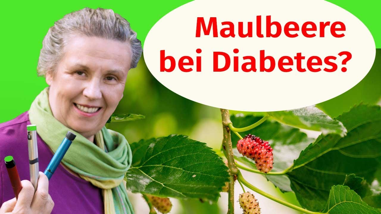 91 maulbeere bei diabetes typ 2