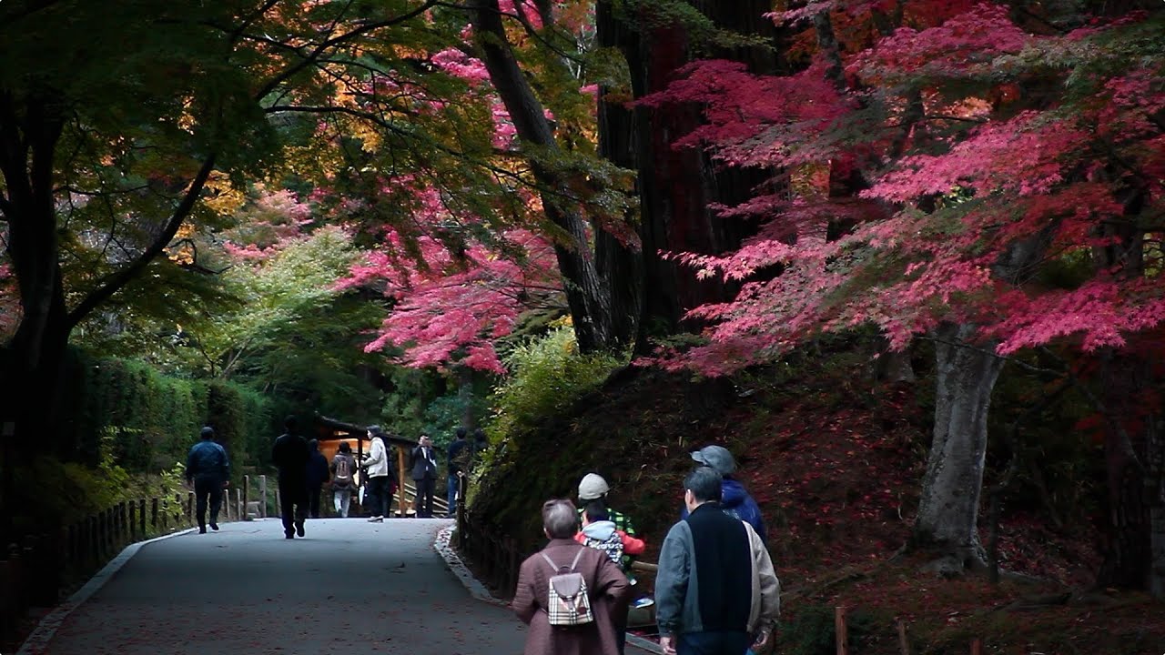 World Heritage Chusonji Temple［中尊寺／岩手県平泉町］