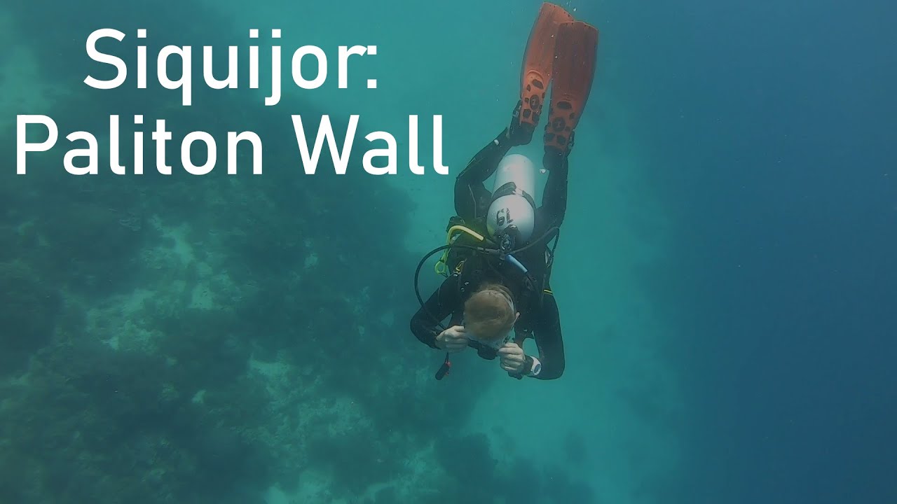 Diving Siquijor: Paliton Wall