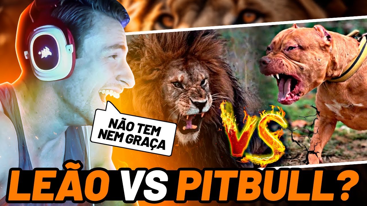 SUPER XAND&Atilde;O REAGINDO: QUEM VENCERIA - 1 LE&Atilde;O OU 100 PITBULLS?