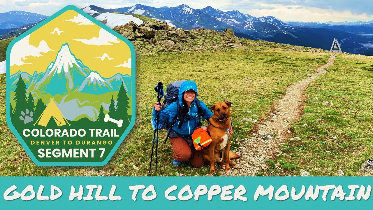 Hiking the COLORADO TRAIL with My Dog | Segment 7: Gold Hill to Copper Mountain | MOOSE SIGHTING!