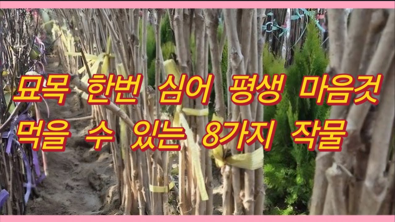 묘목 한번 심어 평생 벌레 걱정없이 마음껏 수확하는 8가지 작물!(농사의신)