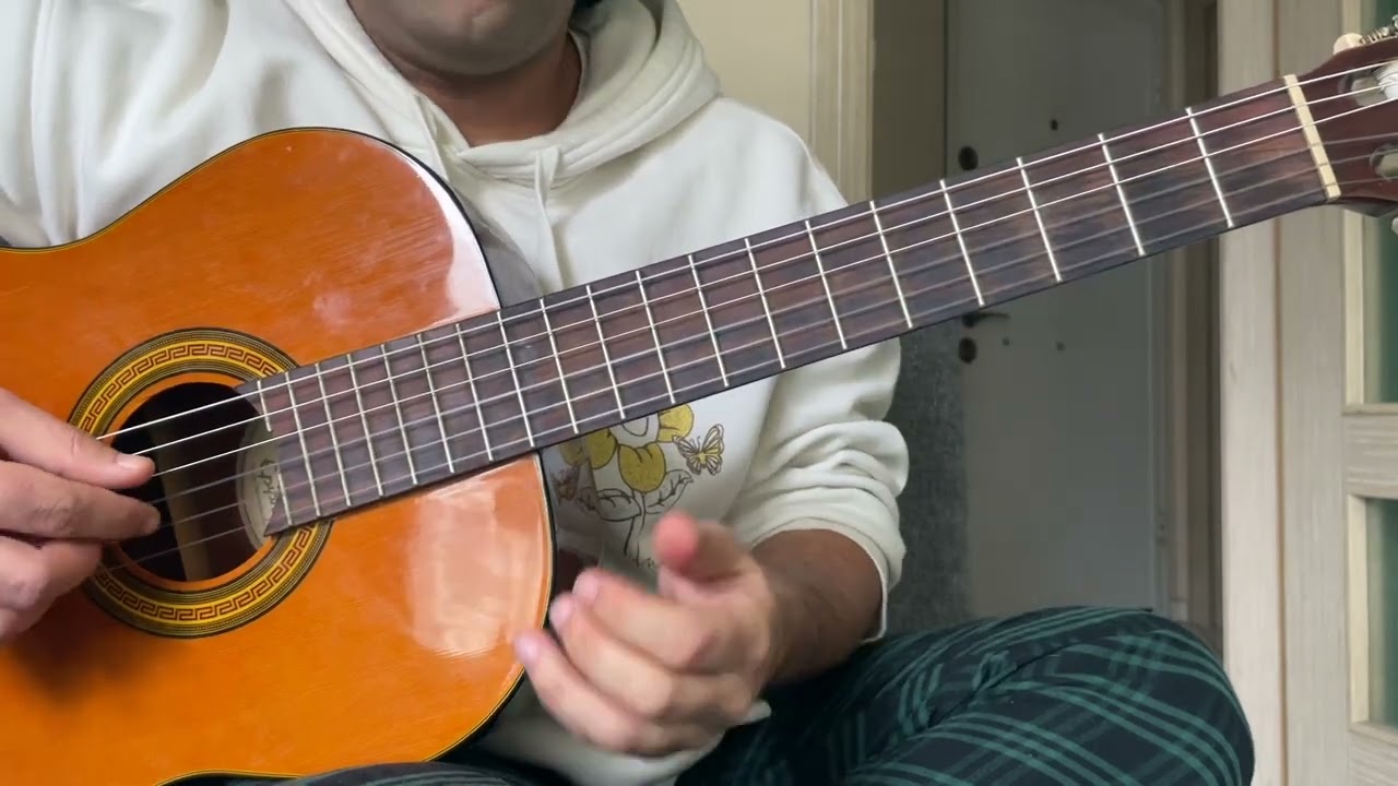 Passacaglia - Handel/Halvorsen (Guitar Cover)