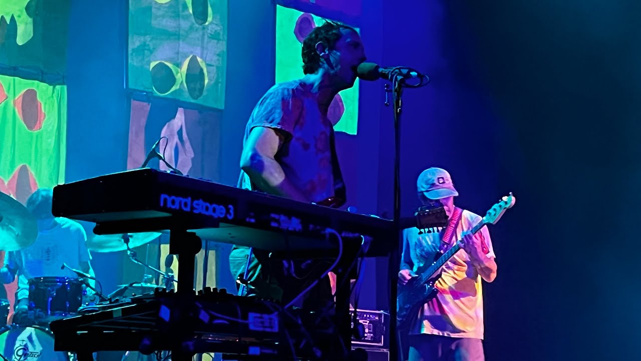 The Purple Bottle by Animal Collective (Live in Toronto)