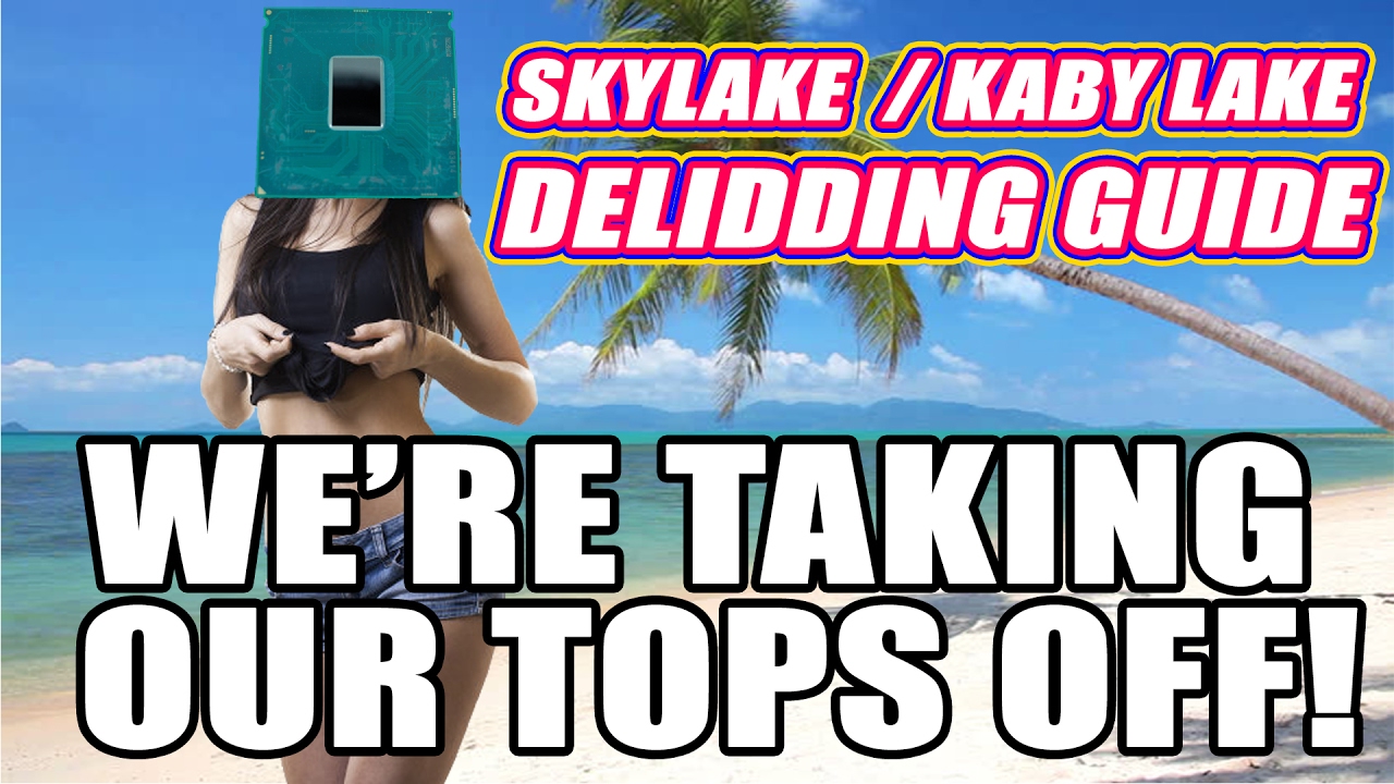 DELID SKYLAKE/KABY LAKE GUIDE - IS IT WORTH IT? [MOD]