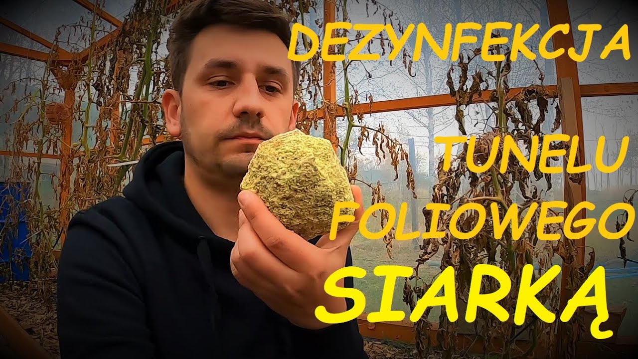 DEZYNFEKCJA TUNELU FOLIOWEGO SIARKĄ - FOX GARDEN #foxgarden