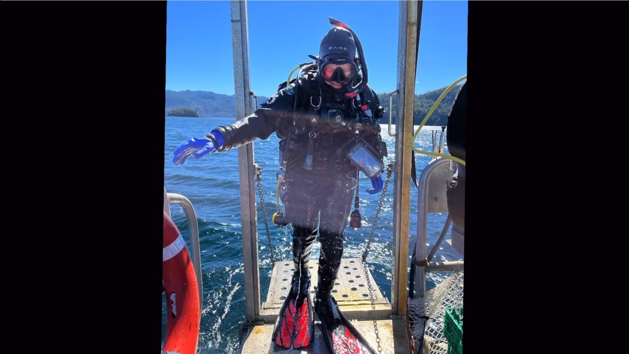 Scuba diving trip to God's Pocket, Vancouver Island, Canada Aug 2022