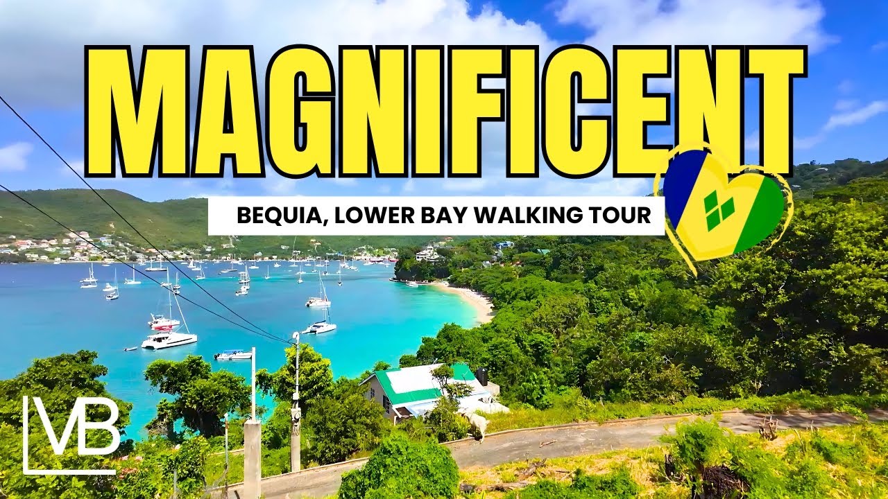 Bequia, Lower Bay Beach Walking Tour, St Vincent and the Grenadines,  🇻🇨 #bequia #travel