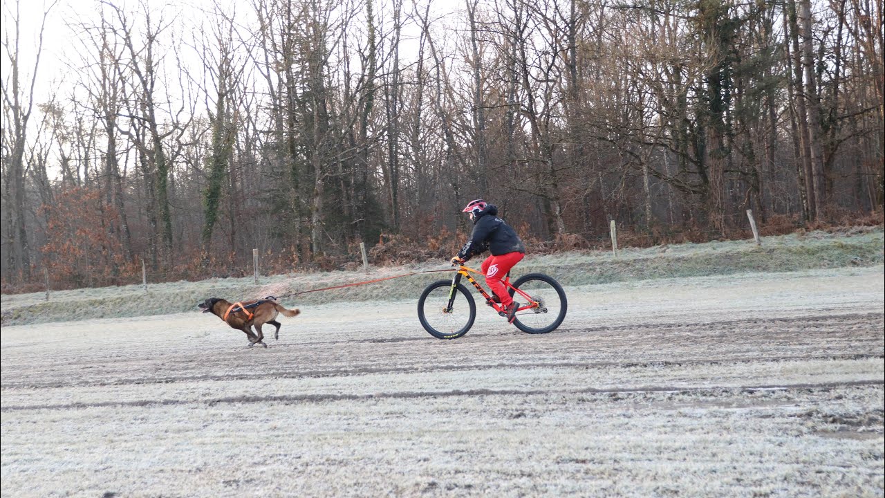 3rd Dirty dog race Dimanche / course complète
