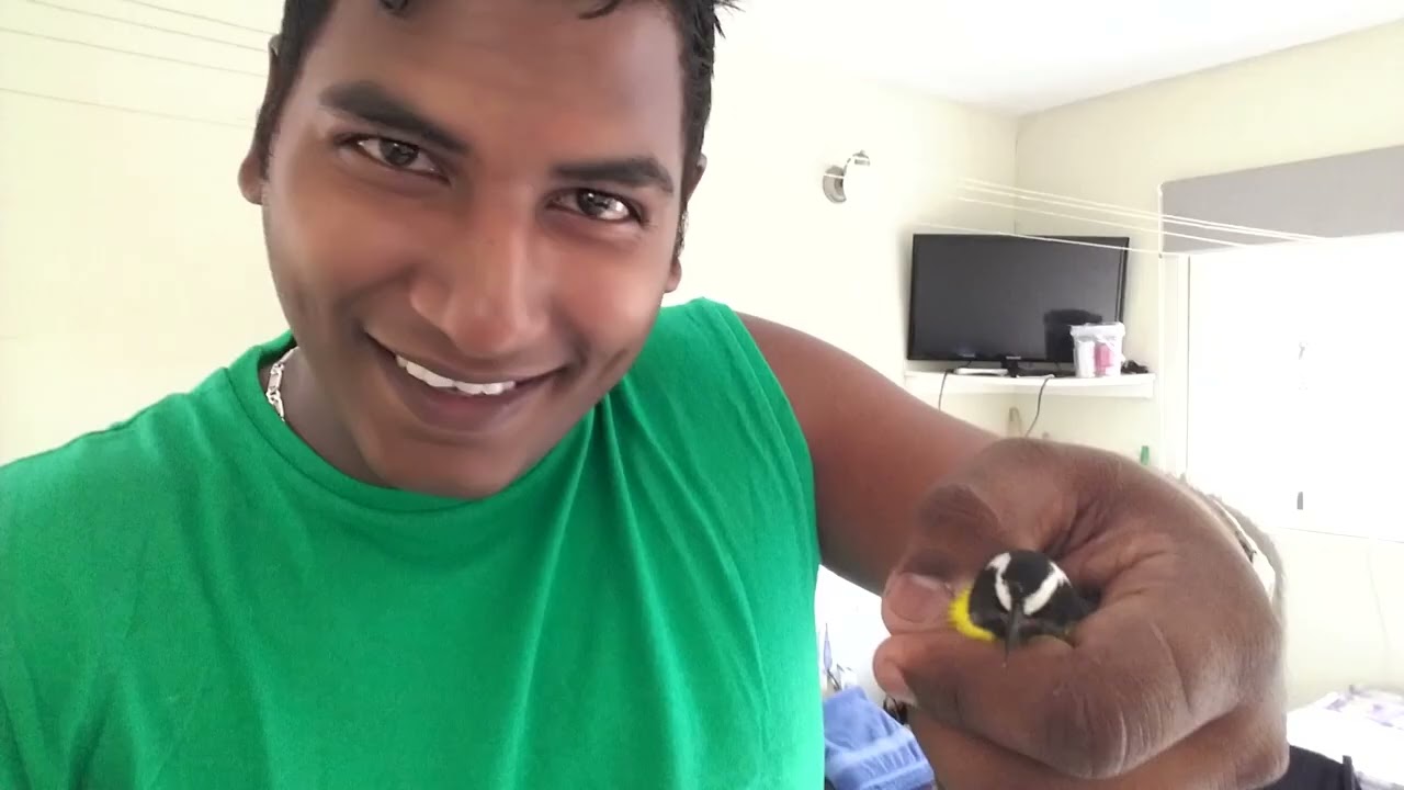 curacau clip 1 year  2016
