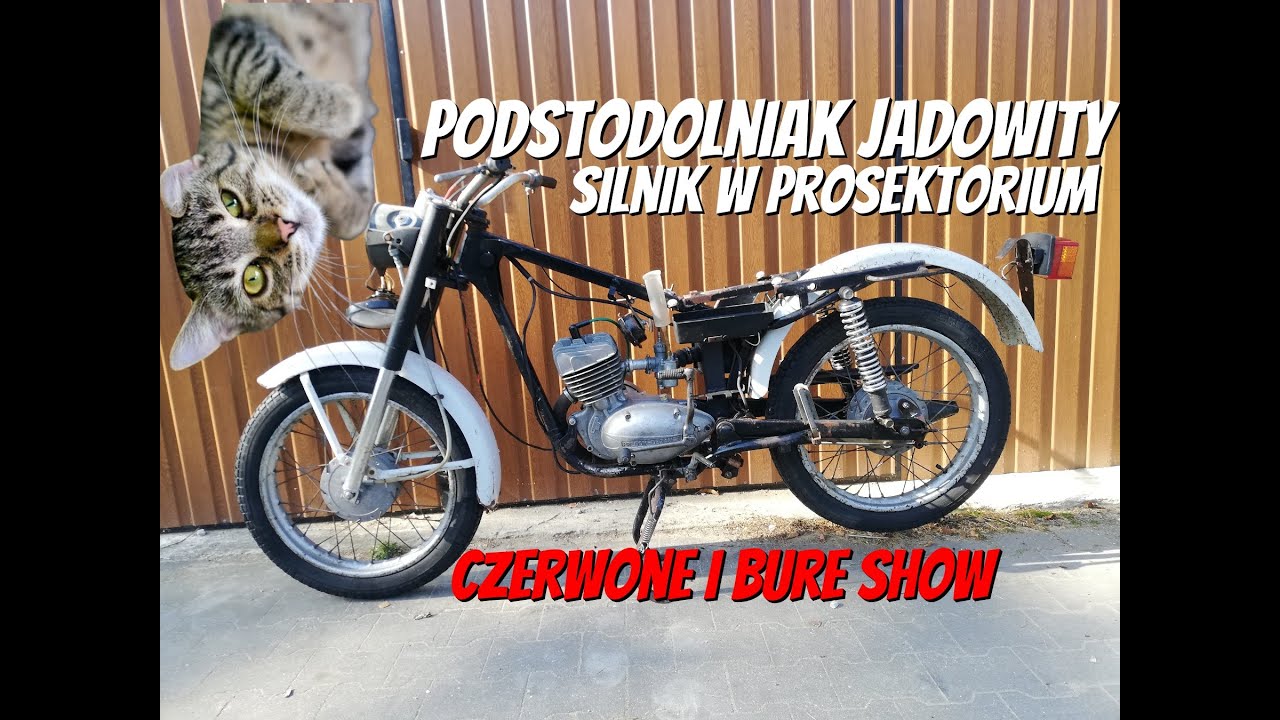 WSK 125 1985r - Jak przygotować remont silnika w rytmie DISCO? Nasi tu byli...