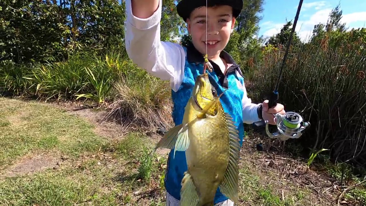 Catching Tilapia with the kids at the Gooseponds in Mackay, QLD