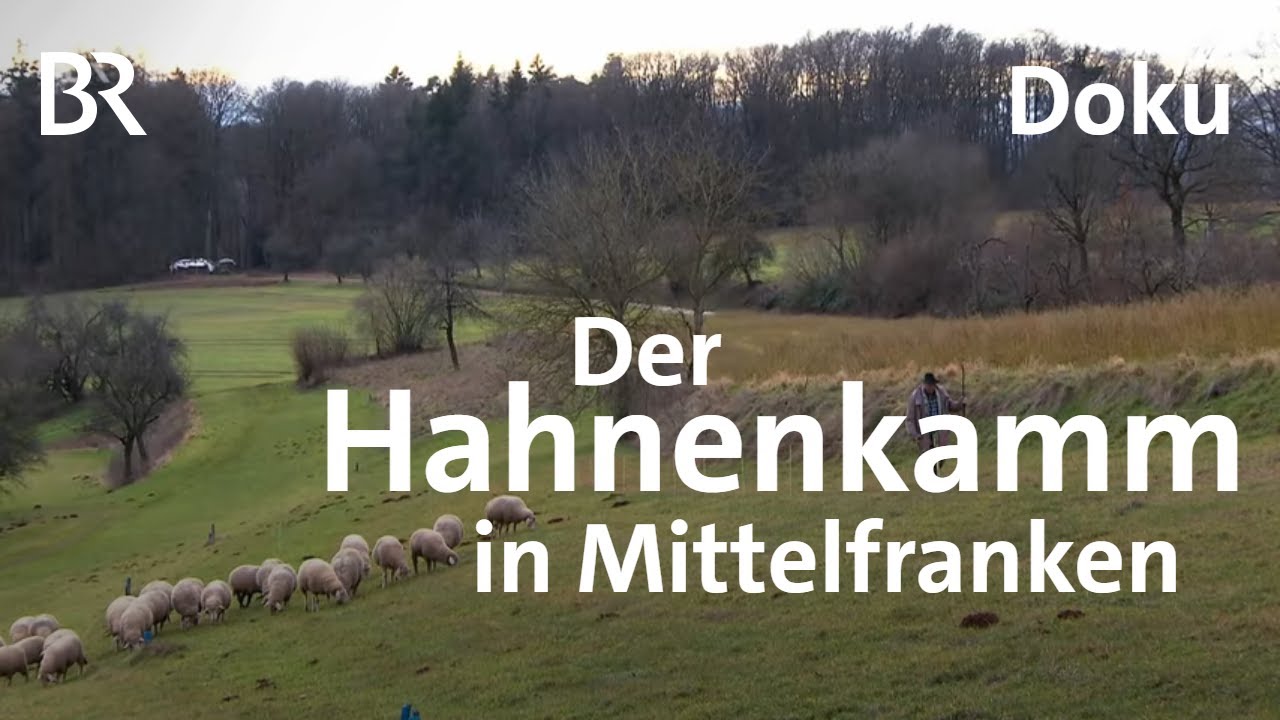 Der Hahnenkamm in Mittelfranken: Rau und ruhig | Zwischen Spessart und Karwendel | Doku | BR